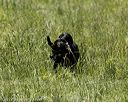 20220605-finw-0240