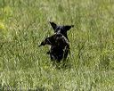 20220605-finw-0243