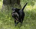 20220605-finw-0270