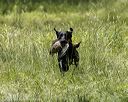 20220605-finw-0288