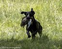 20220605-finw-0296