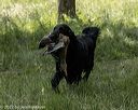 20220605-finw-0419