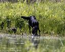 20220605-finw-0443