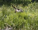 20220605-finw-0464