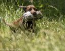 20220605-finw-0504