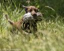20220605-finw-0505