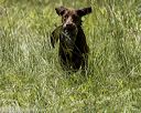 20220605-finw-0541