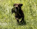 20220605-finw-0546