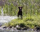 20220605-finw-0561