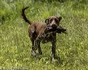 20220605-finw-0610