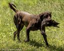 20220605-finw-0618