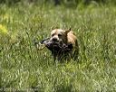 20220605-finw-0625