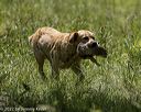 20220605-finw-0666