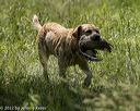 20220605-finw-0675
