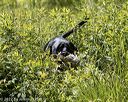 20220605-finw-0692