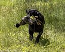 20220605-finw-0837