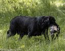 20220605-finw-0847