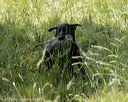 20220605-finw-0857