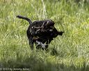 20220605-finw-0881
