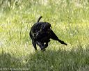 20220605-finw-0893