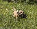 20220605-finw-0963