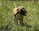 20220605-finw-0977