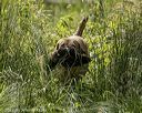 20220605-finw-0994