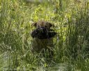 20220605-finw-0997