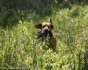20220605-finw-1057