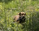 20220605-finw-1067