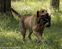 20220605-finw-1089