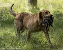 20220605-finw-1094
