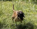 20220605-finw-1107