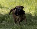 20220605-finw-1114