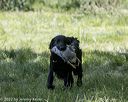 20220605-finw-1153