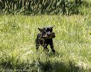 20220605-finw-1227