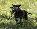 20220605-finw-1251