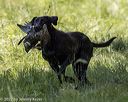 20220605-finw-1257