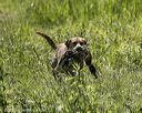 20220605-finw-1317