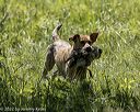 20220605-finw-1319