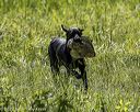 20220605-finw-1354