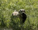 20220605-finw-1376