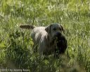 20220605-finw-1382