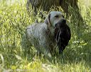 20220605-finw-1399
