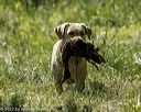 20220605-finw-1431
