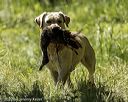 20220605-finw-1440