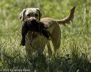 20220605-finw-1448