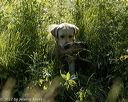 20220605-finw-1452