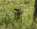 20220605-finw-1489