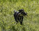 20220605-finw-1547